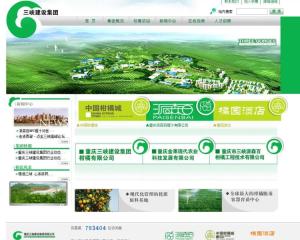 重慶三峽建設(shè)集團(tuán)